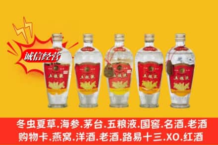 沧州东光县回收老五粮液